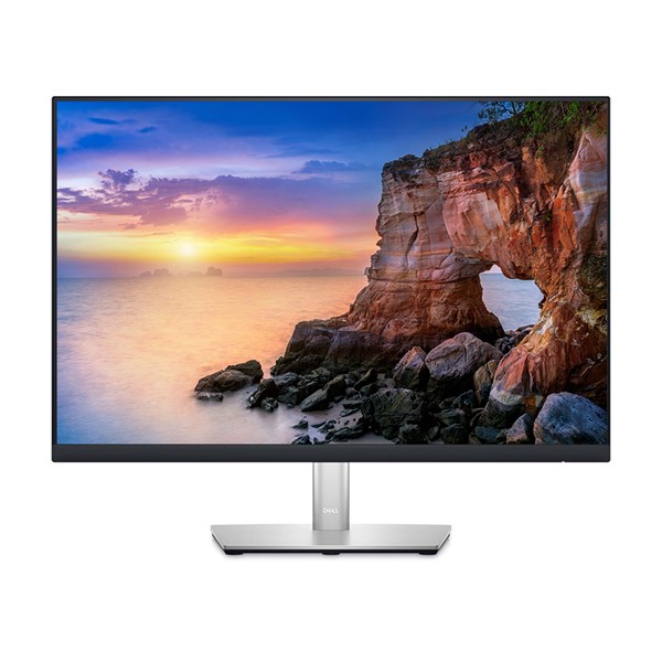 Dell P2423 24" WUXGA IPS Business Monitor