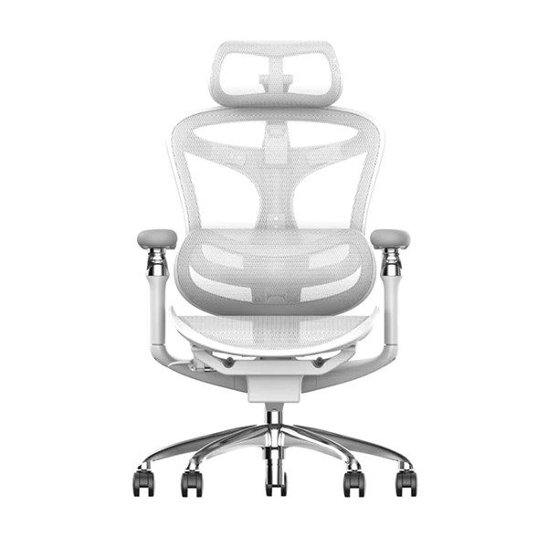 Sihoo Doro C300 Pro Mesh Ergonomic Office Chair Light Grey